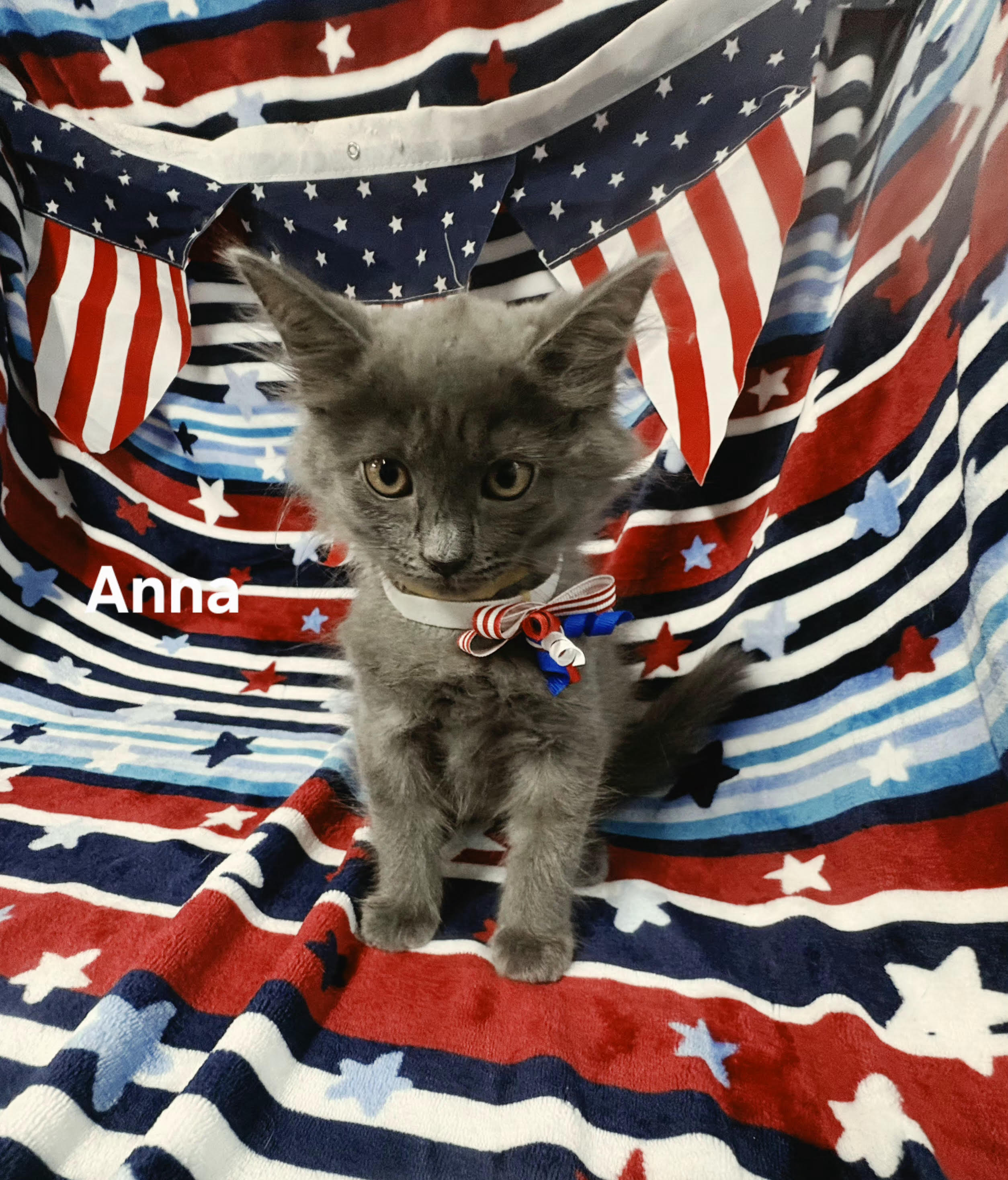 Anna
